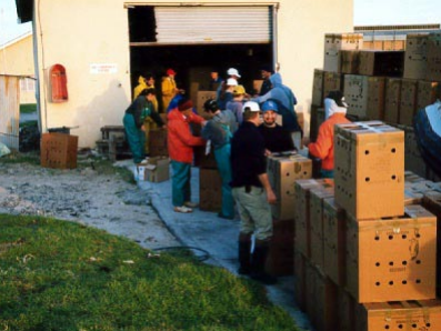 Screenshot 2025-04-28 024619.png